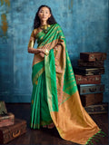 Emerald Green Silk Handloom Pochampally saree full drape view