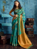Teal Blue Silk Handloom Pochampally saree full drape view