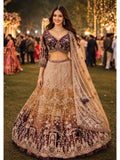 Wine Burgundy Net Heavy Handwork Stone Embroidered Lehenga Set
