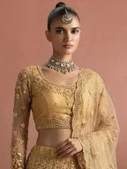 Beige Gold Butterfly Net Embroidered Semi-Stitched Girly Lehenga Choli - View 2