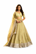 Olive Semi-stitched Zari, Dori, Sequins Crepe Lehengas