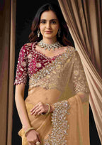 Naksh Creation Golden Beige Organza Tissue Designer Saree