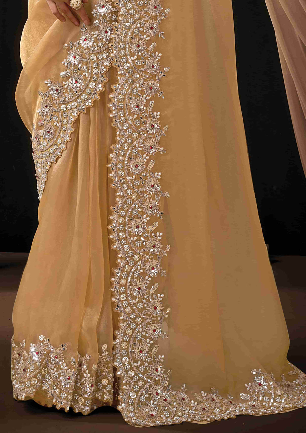 Naksh Creation Golden Beige Organza Tissue Designer Saree