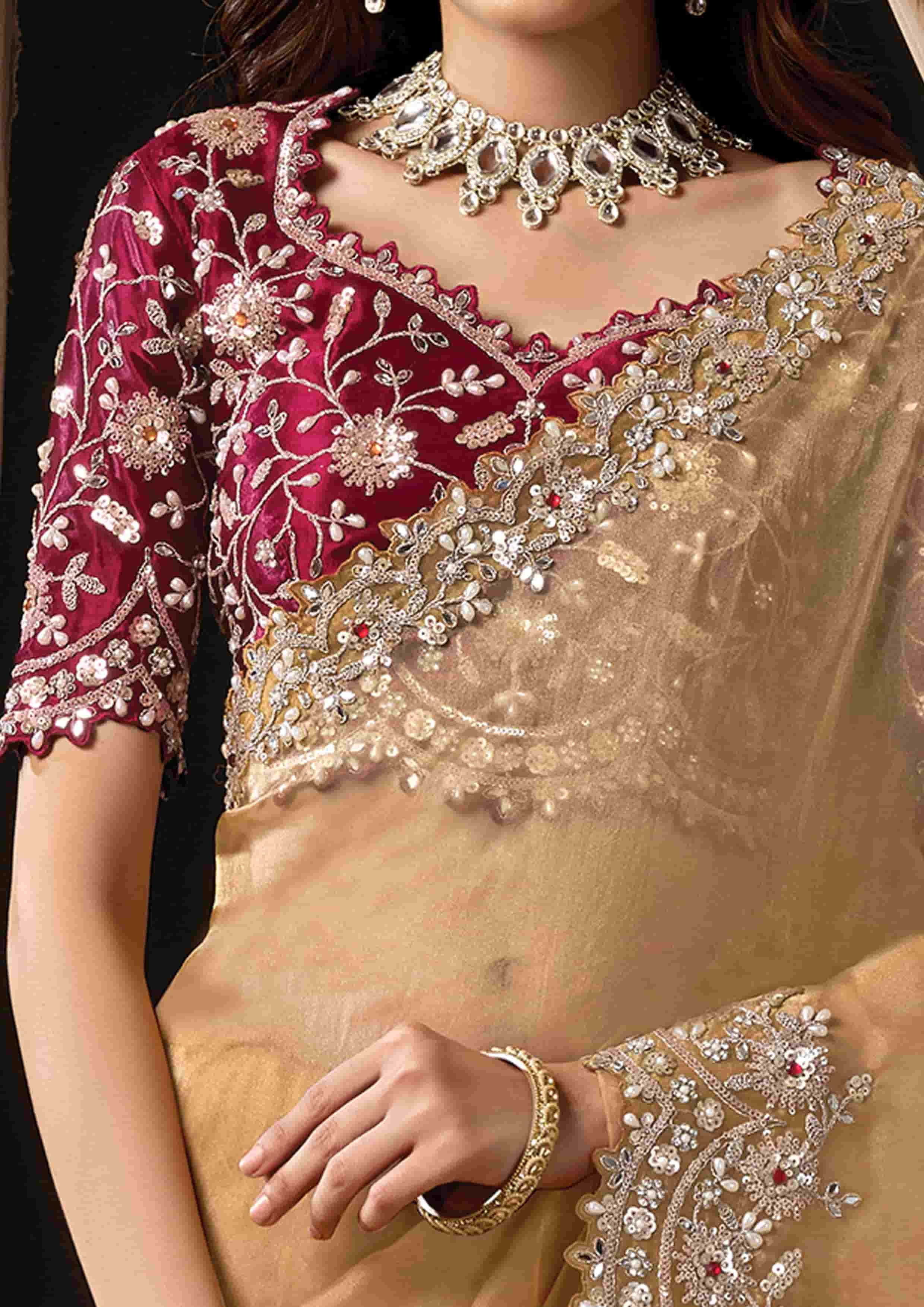 Naksh Creation Golden Beige Organza Tissue Designer Saree