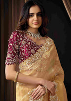 Naksh Creation Golden Beige Organza Tissue Designer Saree