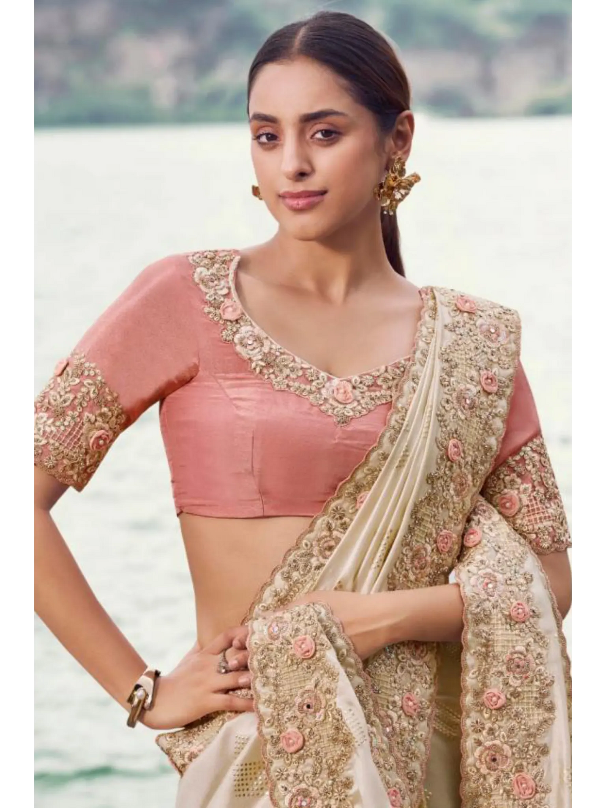 Chiku Satin Silk traditional saree by Naksh Creation view 2