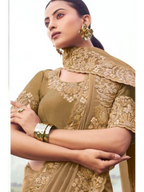 Chiku Pure Banarasi Silk traditional saree by Naksh Creation view 2