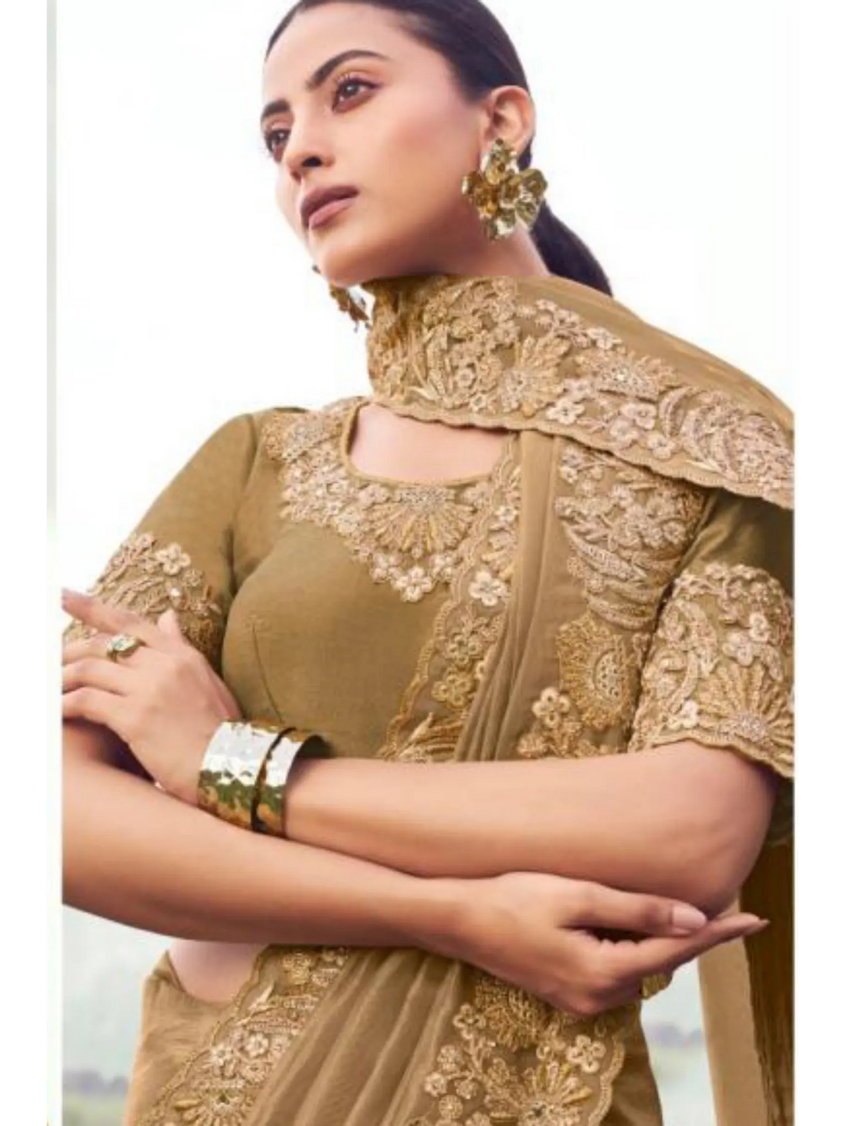 Chiku Pure Banarasi Silk traditional saree by Naksh Creation view 2