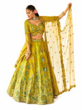 Lime Green Readymade Embroidery, Cut Work Border, Weaving Butti, Art Mirror Work Silk Lehengas