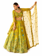 Lime Green Readymade Embroidery, Cut Work Border, Weaving Butti, Art Mirror Work Silk Lehengas